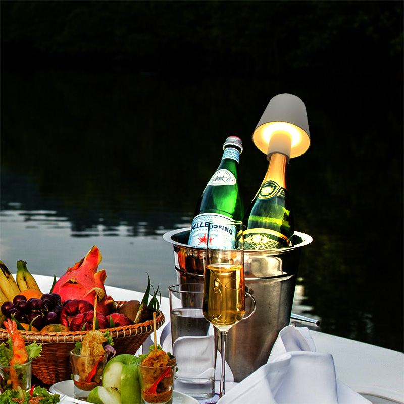 Home Decor Dimmable Rechargeab - Wine & Beer Hydrometer 评论和价格