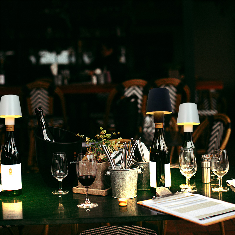 Home Decor Dimmable Rechargeab - Wine & Beer Hydrometer 评论和价格